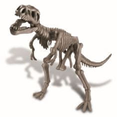 Mac Toys Okostje dinozavra - REX