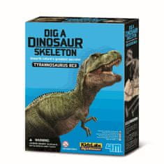 Mac Toys Okostje dinozavra - REX