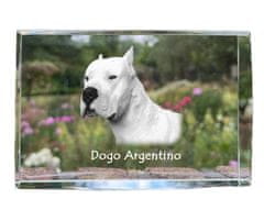 Artdog Argentinski pes, Dogo Argentino - kristal s fotografijo psa, fotografija v steklu, sodobna fotografska razstava Art-Dog