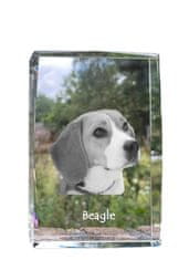 Artdog Beagle - kristal s fotografijo psa, fotografija v steklu, sodobna fotografska razstava Art-Dog