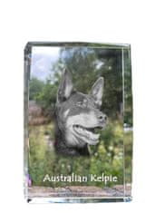 Artdog Avstralski ovčar kelpie - kristal s fotografijo psa, fotografija v steklu, sodobna fotografska razstava Art-Dog