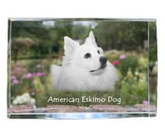 Artdog Ameriški eskimski pes, ameriški špic - kristal s fotografijo psa, fotografija v steklu, sodobna fotografska razstava Art-Dog