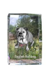 Artdog Angleški buldog, Bulldog - kristal s fotografijo psa, fotografija v steklu, sodobna fotografska razstava Art-Dog