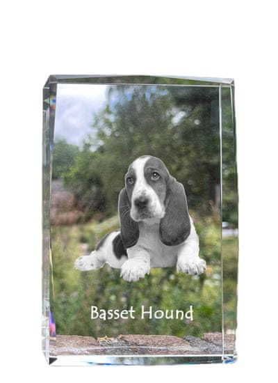 Artdog Basset Hound - kristal s fotografijo psa, fotografija v steklu, sodobna fotografska razstava Art-Dog