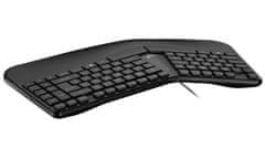 Genius Ergo KB-700 Tipkovnica, žična, ergonomska, tipka Copilot, USB, 1,5 m, CZ+SK postavitev, črna