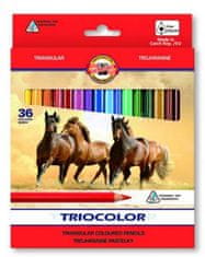 Koh-i-Noor barvice TRIOCOLOR trikotne 36 kosov