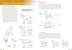 Rayher.	 Knjiga Drawing Animals Using Grids