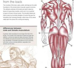 Rayher.	 Knjiga Anatomy for Fantasy Artists