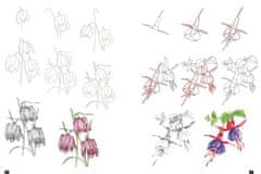 Rayher.	 Knjiga Draw 100 Flowers