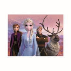 FROZEN II 12 lesenih licenčnih blokov