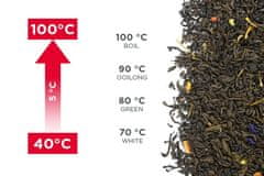 Concept Konceptni čajnik z uravnavanjem temperature 1,7 RK4100