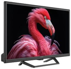 STRONG Televizor SMART LED 24"/ SRT24HG4723C/ HDR/ 1366x768/ DVB-T2/C/S2/ H.265/HEVC/ 2xHDMI/ USB/ Wi-Fi/ LAN/ 12V/ D/ GoogleTV