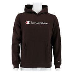 Champion Športni pulover rjava 144 - 155 cm/L Big Logo Print