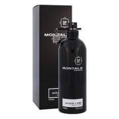 Montale Paris Aoud Lime 100 ml parfumska voda unisex