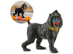 Schleich Schleich Wild Life - Opica Mandril, figurica za otroke 3+ 