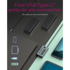 IcyBox IB-HUB1454-C31 4-portno hub z vmesnikom USB 3.2 Gen 2 Type-C