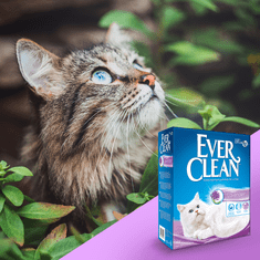 Ever Clean Lavender pesek za mačja stranišča, sivka - 10 L