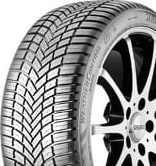 Bridgestone Celoletna pnevmatika 225/45R19 96V XL FR Weather Control A005 EVO DOTXX22 19421