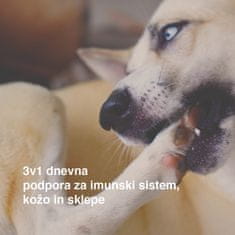 DogBarKode Napreden vsakodnevni prehranski dodatek za pse, pasji priboljški, podpirajo imunski sistem, sklepe in kožo, onoplja, glukozamin in probiotiki, slasten priboljšek za vse pse, 30 kosov, MultiChew