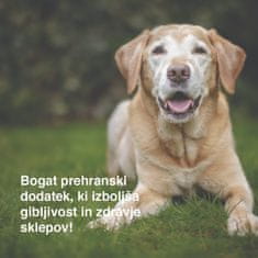 DogBarKode Prehranska dopolnila za pse, mehki pasji priboljški za sklepe in gibljivost, glukozamin, hondroitin in zelenoustna školjka, naravna podpora za vse pse, 30 mehkih žvečilk, MobilityChew