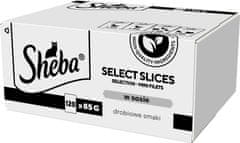 Sheba SHEBA Select Slices - mokra hrana za mačke, okusi perutnine, 120 x 85g, brez umetnih barvil, primerno za odrasle mačke