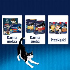 slomart Purina Felix Fantastična mokra mačja hrana z zajcem v želeju - 85 g, za odrasle mačke, brez umetnih barvil in konzervansov