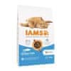 IAMS IAMS Advanced Nutrition Suha hrana za mačke odrasle, ribje okuse - 10 kg, brez glutena, za splošno zdravje in prehranske alergije