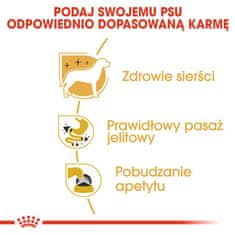 Royal Canin ROYAL CANIN Chihuahua - mokra hrana za odrasle pse, pakiranje 12x85g, s piščancem, za majhne pasme, splošno zdravje