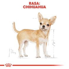 Royal Canin ROYAL CANIN Chihuahua - mokra hrana za odrasle pse, pakiranje 12x85g, s piščancem, za majhne pasme, splošno zdravje