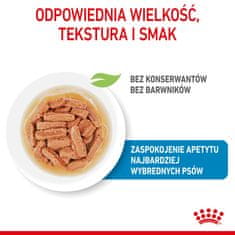 Royal Canin ROYAL CANIN SHN Srednje Pasje Mladiče v omaki - mokra hrana za mladiče, 10x140g, za zdravo rast in razvoj