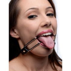 Strict Gag Mouth Spreader