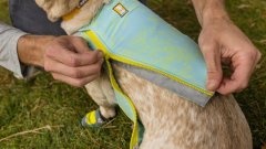 Ruffwear Swamp Cooler Zip hladilni jopič za pse Blue Mist M