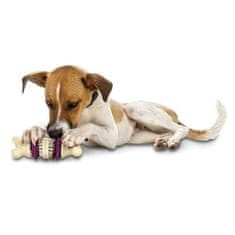 PetSafe Bristle Bone M