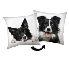 Jerry Fabrics Blazina Border collie Poliester, 40/40 cm