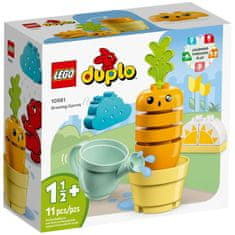 LEGO LEGO DUPLO 10981 RASTOČA KORENČKA - Igra za otroke od 1,5 leta, 11 delov, hitra dostava 24h