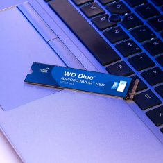 WD Western Digital Blue SN5000 500 GB M.2 PCIe 4.0 NVMe SSD - Hitrost branja 5000 MB/s, 5-letna garancija, TLS NAND