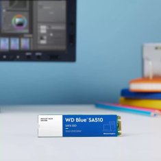 WD Western Digital Blue SA510 250 GB M.2 SATA III SSD - Zmogljivo in zanesljivo shranjevanje za vaš računalnik ali prenosnik