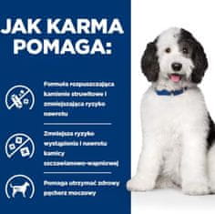 Hill's HILL'S PD Canine Urinary Care C/D - mokra hrana za pse, 370g, zaščita sečnega sistema, raztapljanje struvitnih kamnov