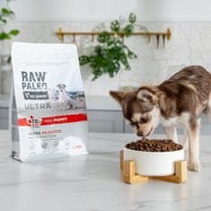 VetExpert RAW PALEO Ultra Mini Puppy Beef - suha hrana za mladiče majhnih pasem, 750 g brez glutena in umetnih barvil