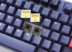 Ducky Ducky One 3 Gaming Tipkovnica USB Blue, RGB LED, Mehanske Tipke Cherry MX ERGO Clear, Odstranljiv Kabel