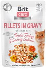 Brit Care Cat puran in losos, fileti v omaki 85g