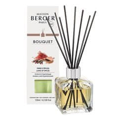 Maison Berger Paris Aroma difuzor Kocka Dežela začimb Dežela začimb 125 ml