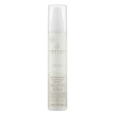 Awapuhi vlažilni sprej za lase (Wild Ginger Hydromist Blow-Out Spray) 150 ml