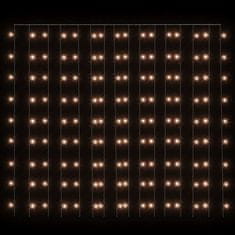 Vidaxl LED svetlobna zavesa 3x3 m 300 LED lučk toplo bela 8 funkcij