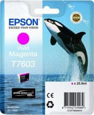 Epson kartuša T7603 Vivid Magenta (Iris)