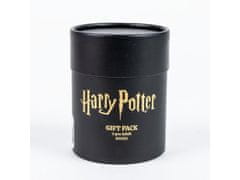 Artesania Cerda Universal Harry Potter nogavice, darilni paket, komplet 3 nogavic, velikost 36-43, 2900002568