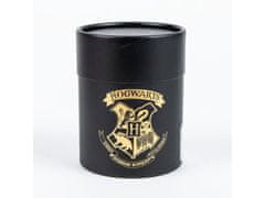 Artesania Cerda Universal Harry Potter nogavice, darilni paket, komplet 3 nogavic, velikost 36-43, 2900002568