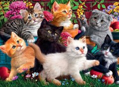 AnaTolian Puzzle Divergent Kittens 260 kosov