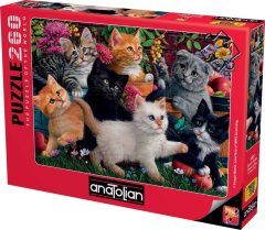 AnaTolian Puzzle Divergent Kittens 260 kosov