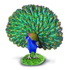 COLLECTA Peacock